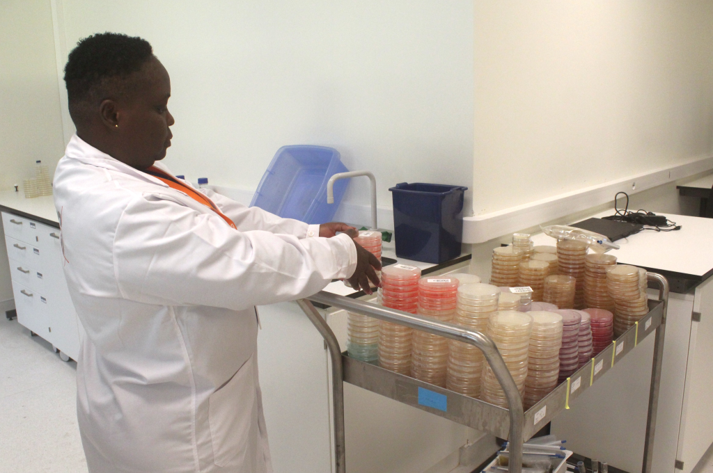 Técnica de laboratório durante o estágia na SGS Portugal – 2