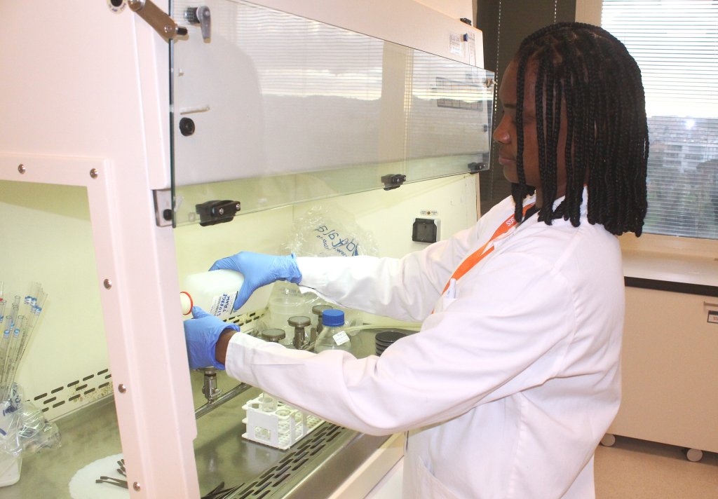 Técnica de laboratório durante o estágia na SGS Portugal – 3